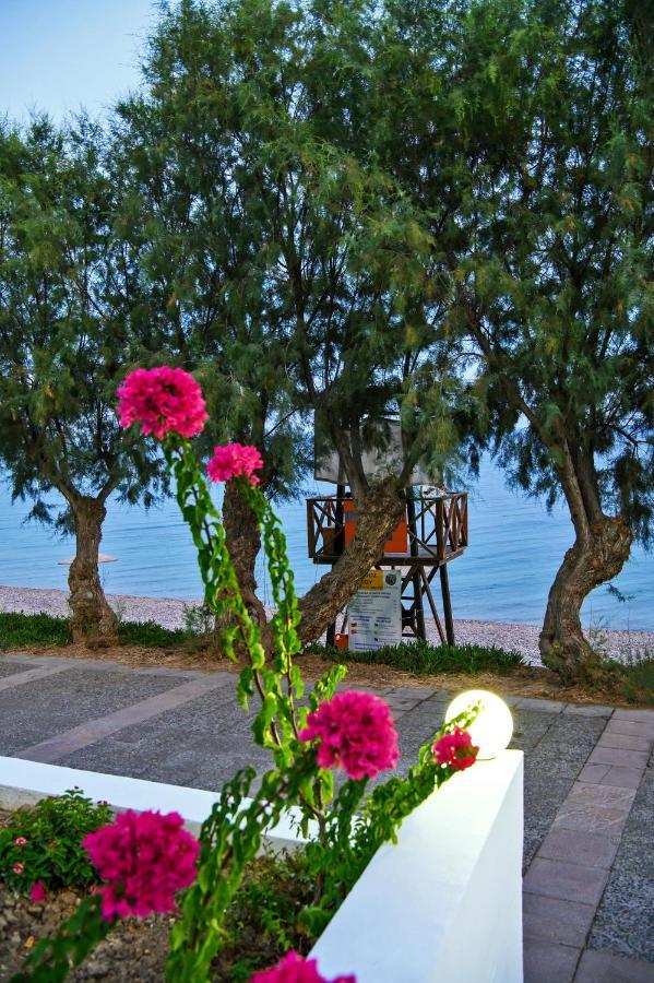 Aliki Paralia Agias Foteinis