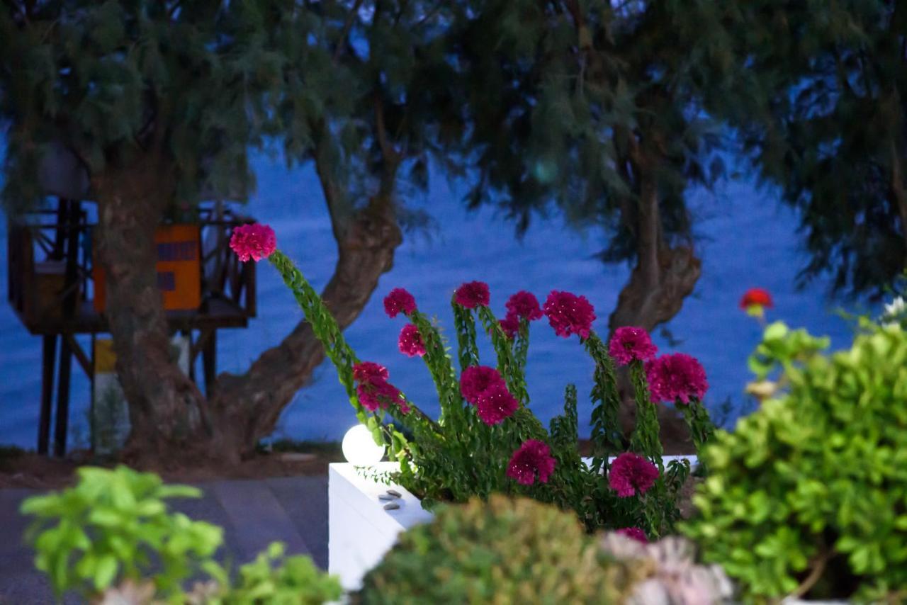 Aliki * Paralia Agias Foteinis